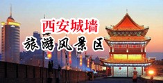 美女被透批视频在线观看中国陕西-西安城墙旅游风景区
